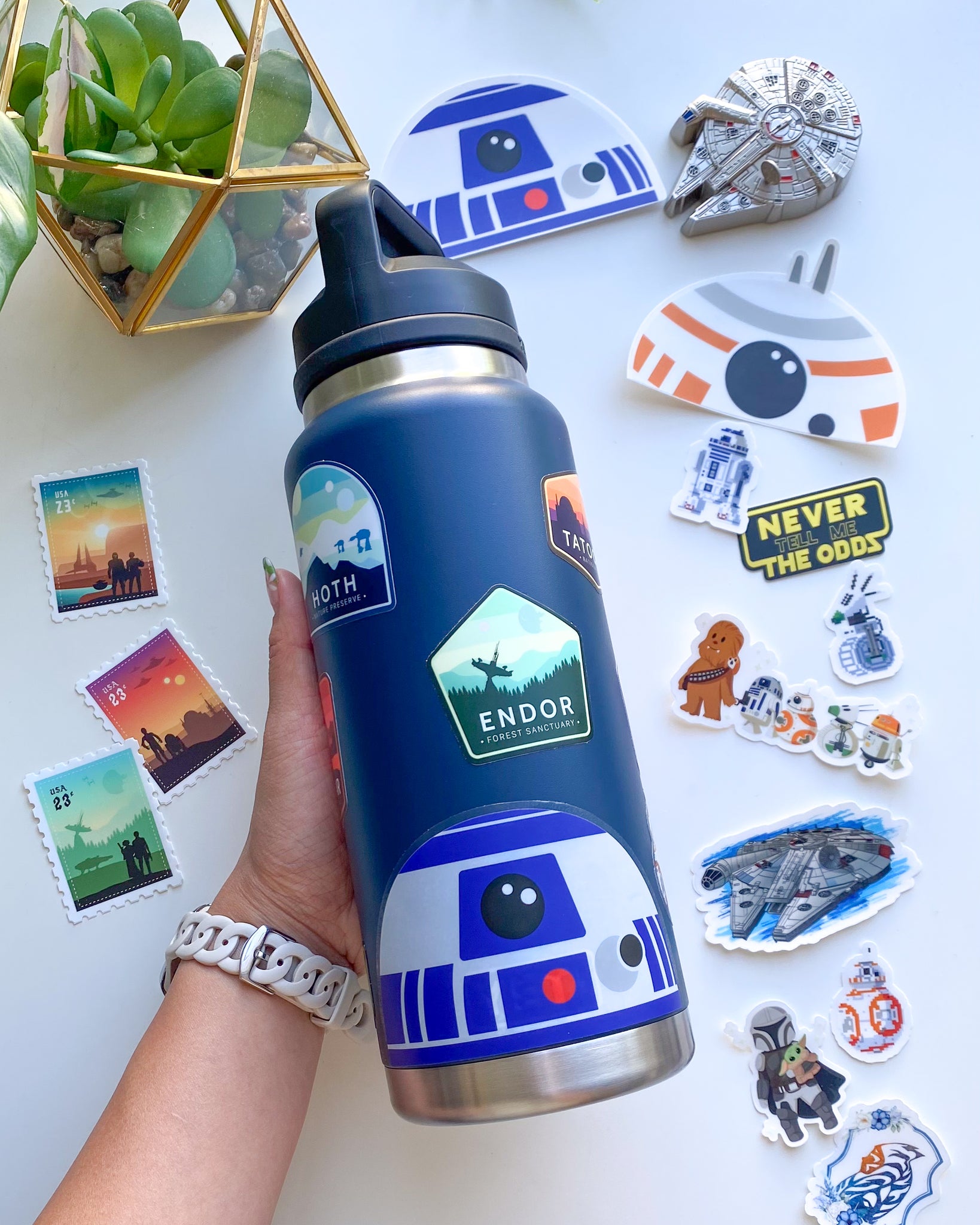 Star Wars Natural World of Endor Water Bottle - Star Wars